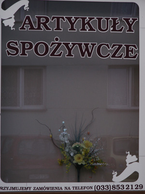 Skoczów sierpień 2010