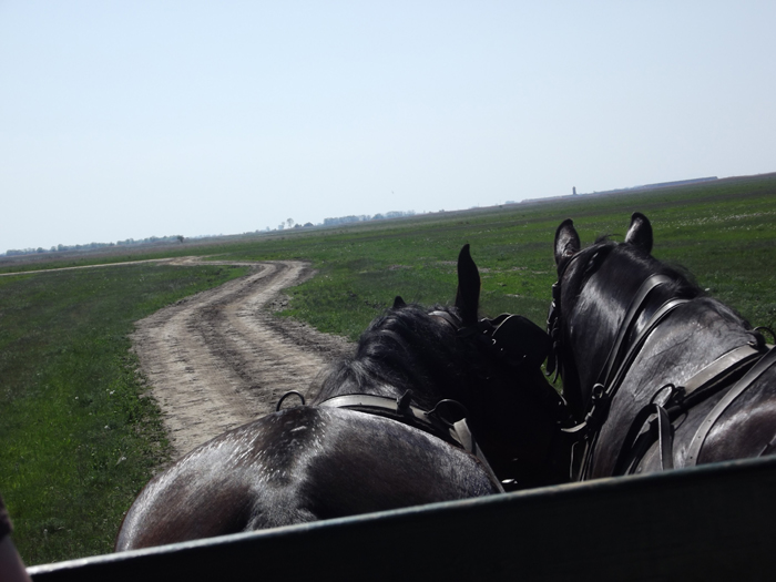 Puszta
