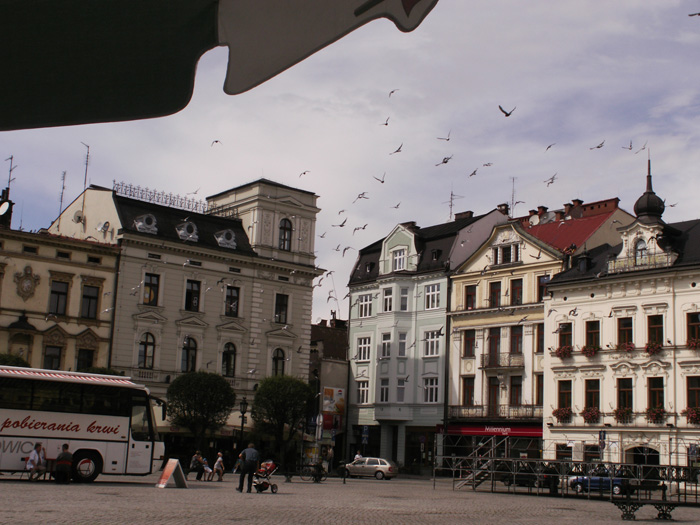 Cieszyn sierpień 2010