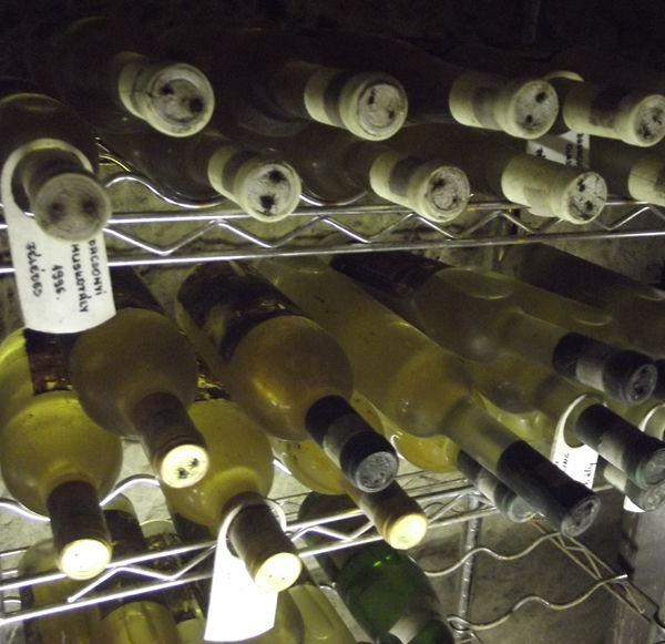 in vino veritas