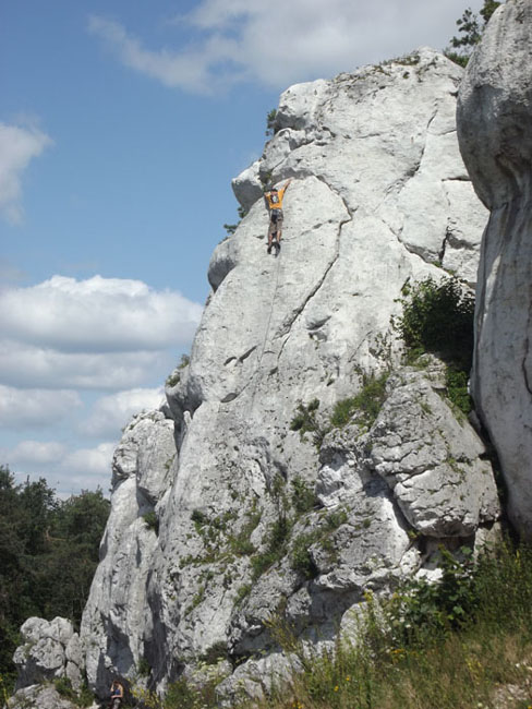 W Podlesicach (koo Kroczyc)