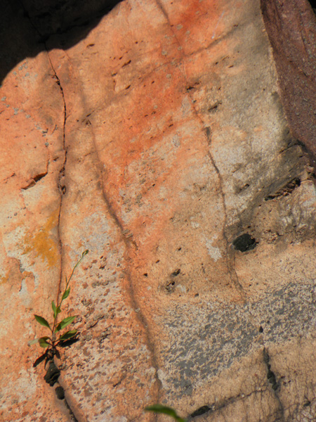 Organy Wielisawskie - wygasy wulkan (fragment;)