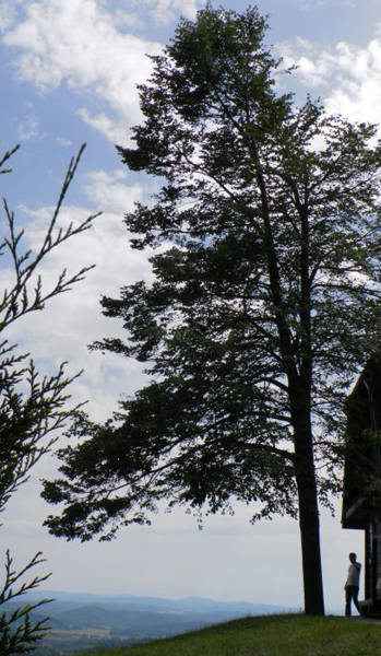 Bieszczady