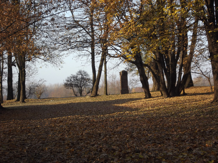 Siemianowice lskie 2011
