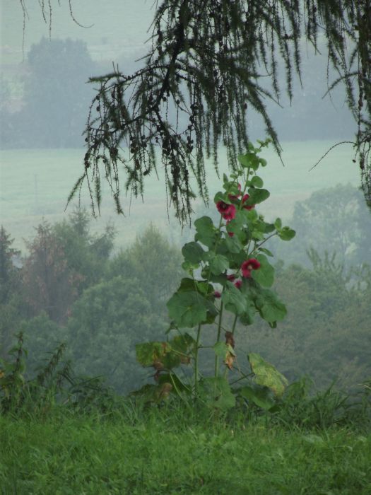 Na Górze Chem
