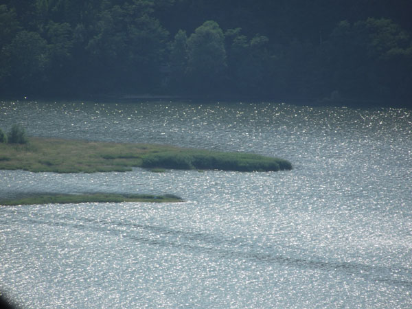 Jezioro ywieckie