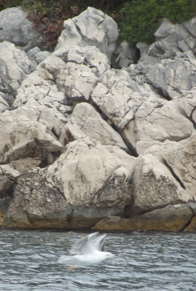 Drvenik, Solta (wrzesień 2012)